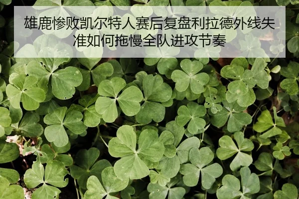雄鹿惨败凯尔特人赛后复盘利拉德外线失准如何拖慢全队进攻节奏
