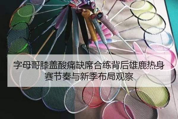 字母哥膝盖酸痛缺席合练背后雄鹿热身赛节奏与新季布局观察